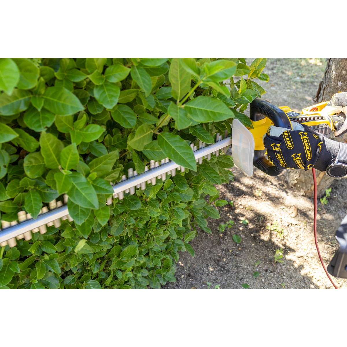 Corta-Sebes Elétrico Set 352E-V20 Amarelo / Preto-2