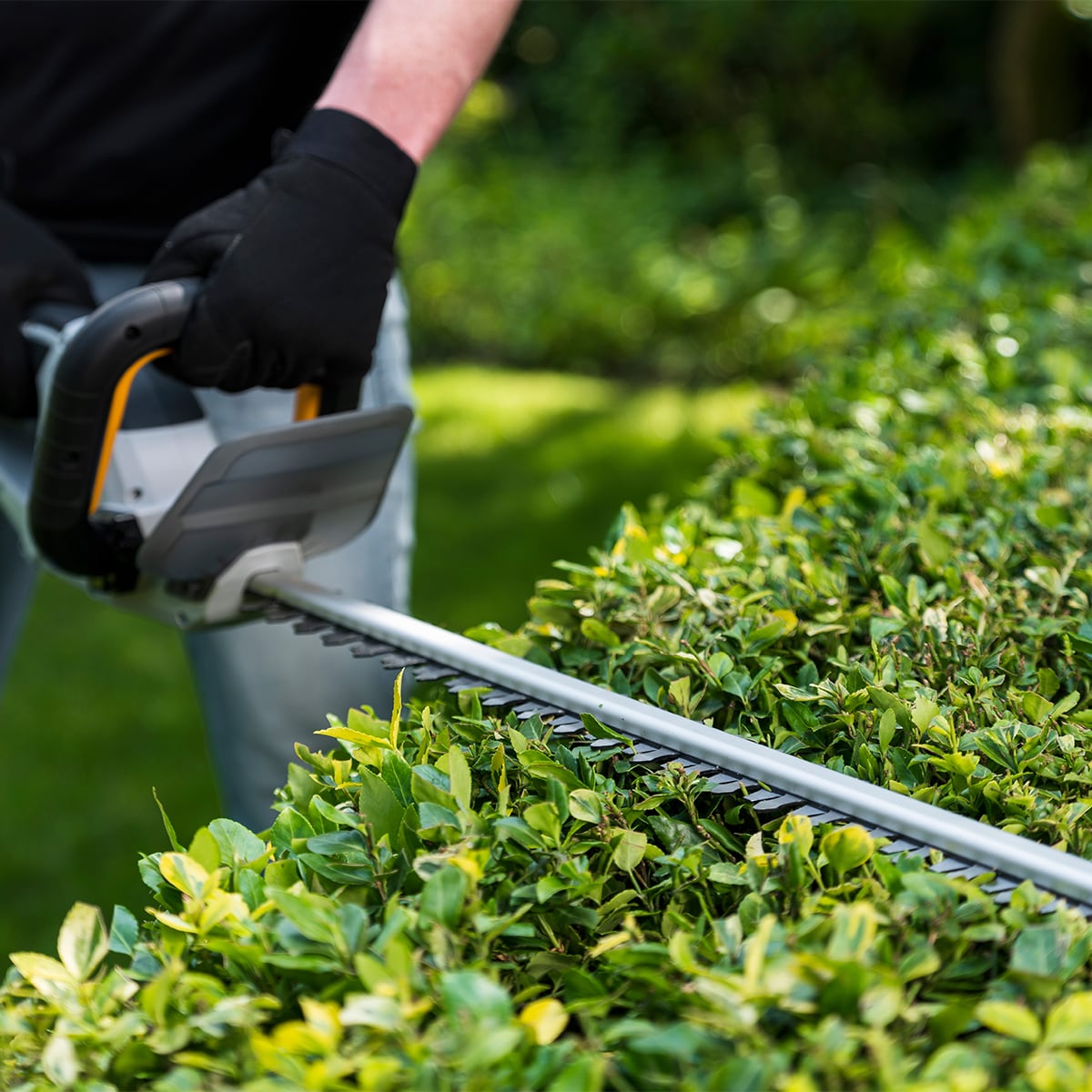 Recortasetos batería 18V Gris-6