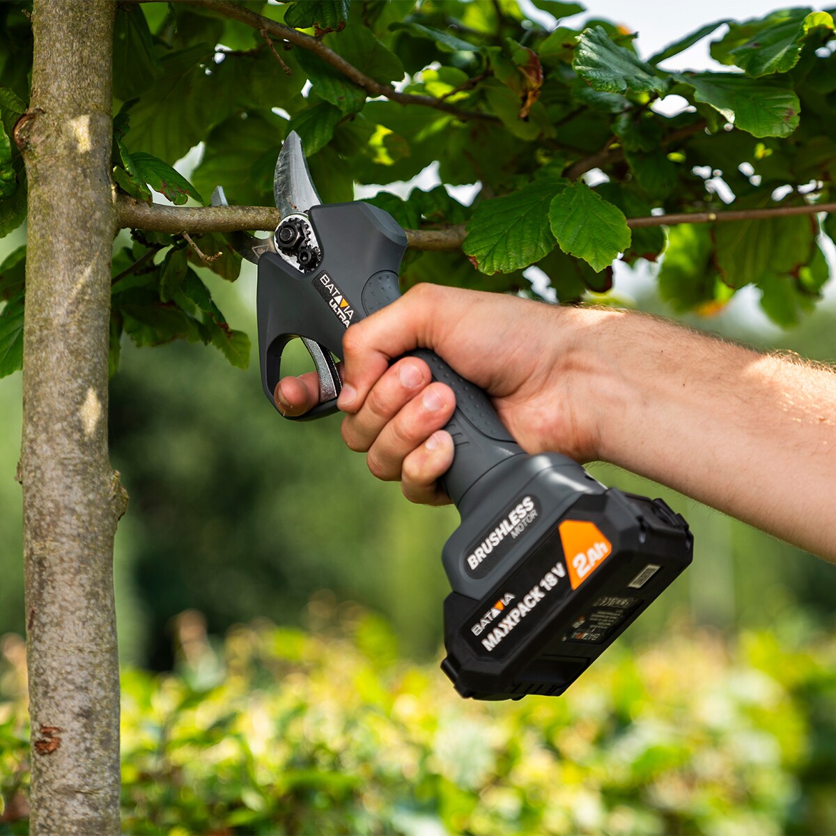 Tijera poda batería 18V Negro-5