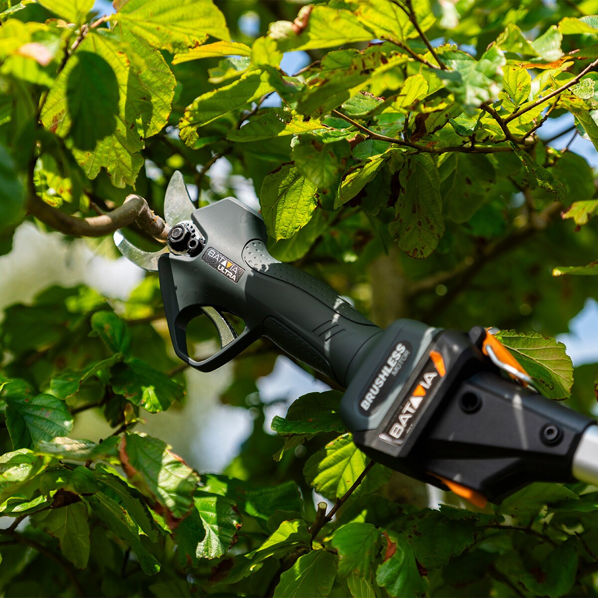 Tijera poda batería 18V Negro-9