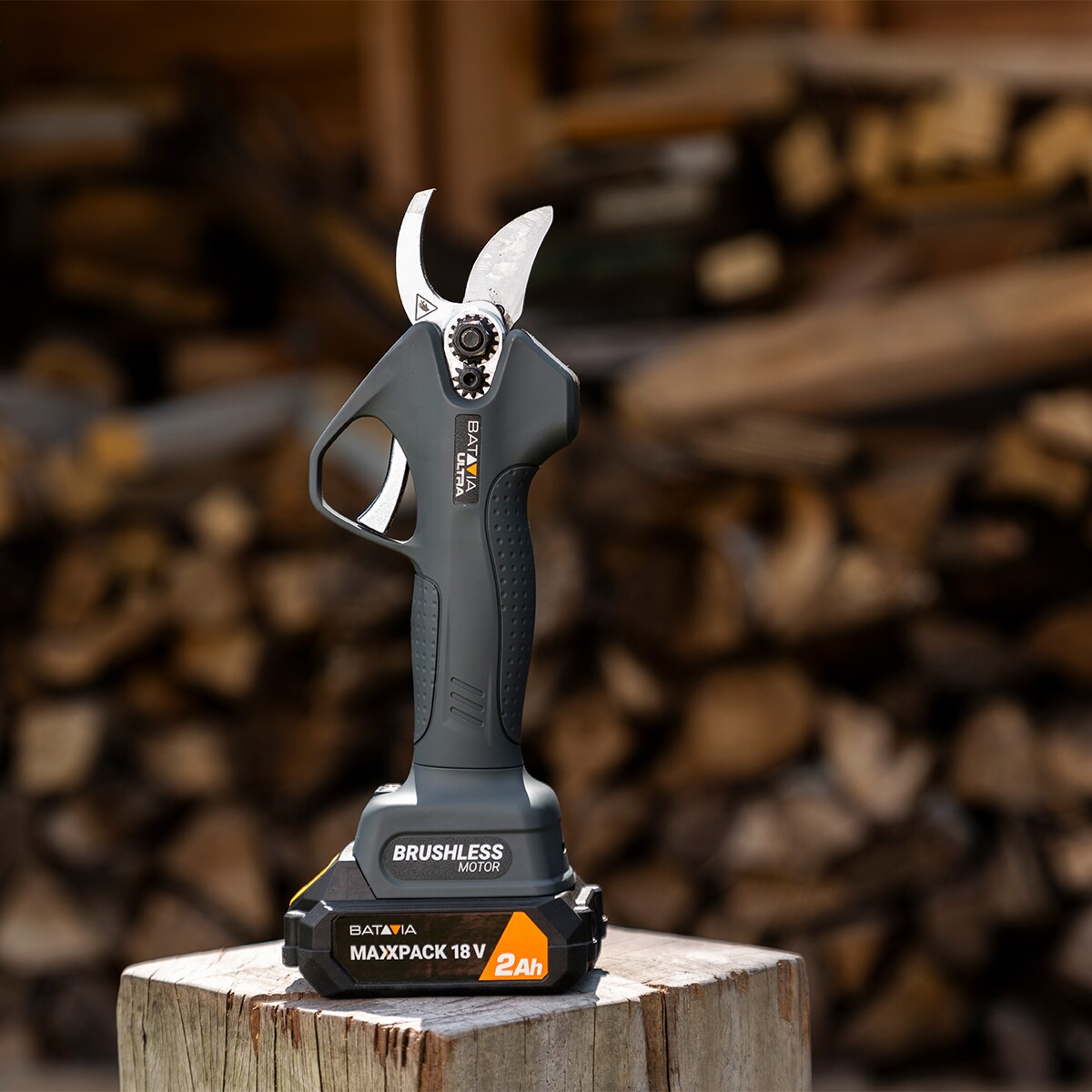 Tijera poda batería 18V Negro-10