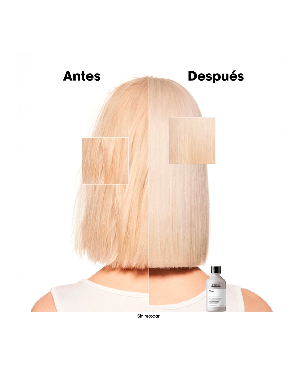 Champú Silver 300 ml L'Oreal Professionnel 3