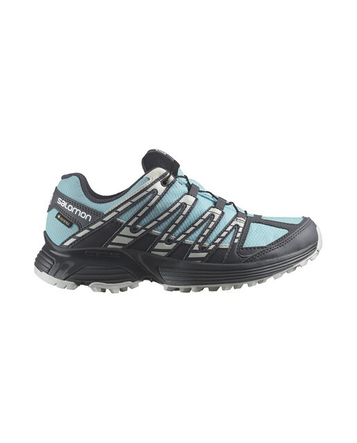 Sapatilhas de Trail Running XT Reckon GTX W Azul-1