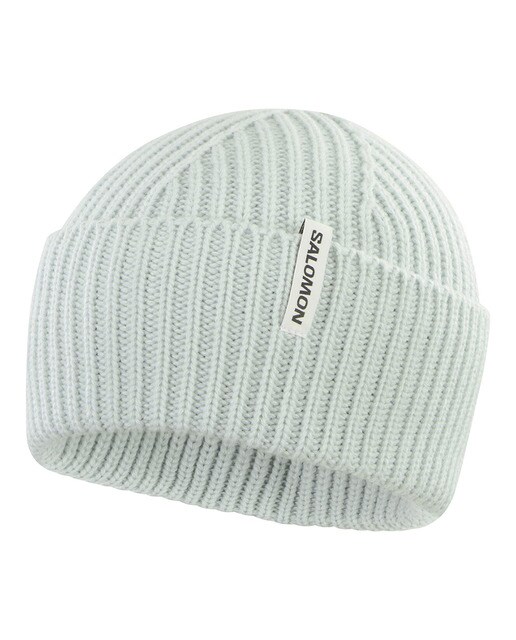 Gorro unisex Snowbird Salomon - Gris Gris-1