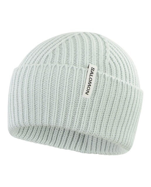 Gorro unisex Snowbird Salomon