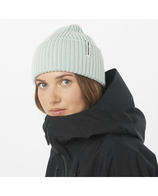 Gorro unisex Snowbird Salomon - Gris Gris-2