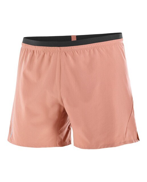 Imagen 5 de Short de hombre Cross 5'' Salomon - Gris claro Gris claro
