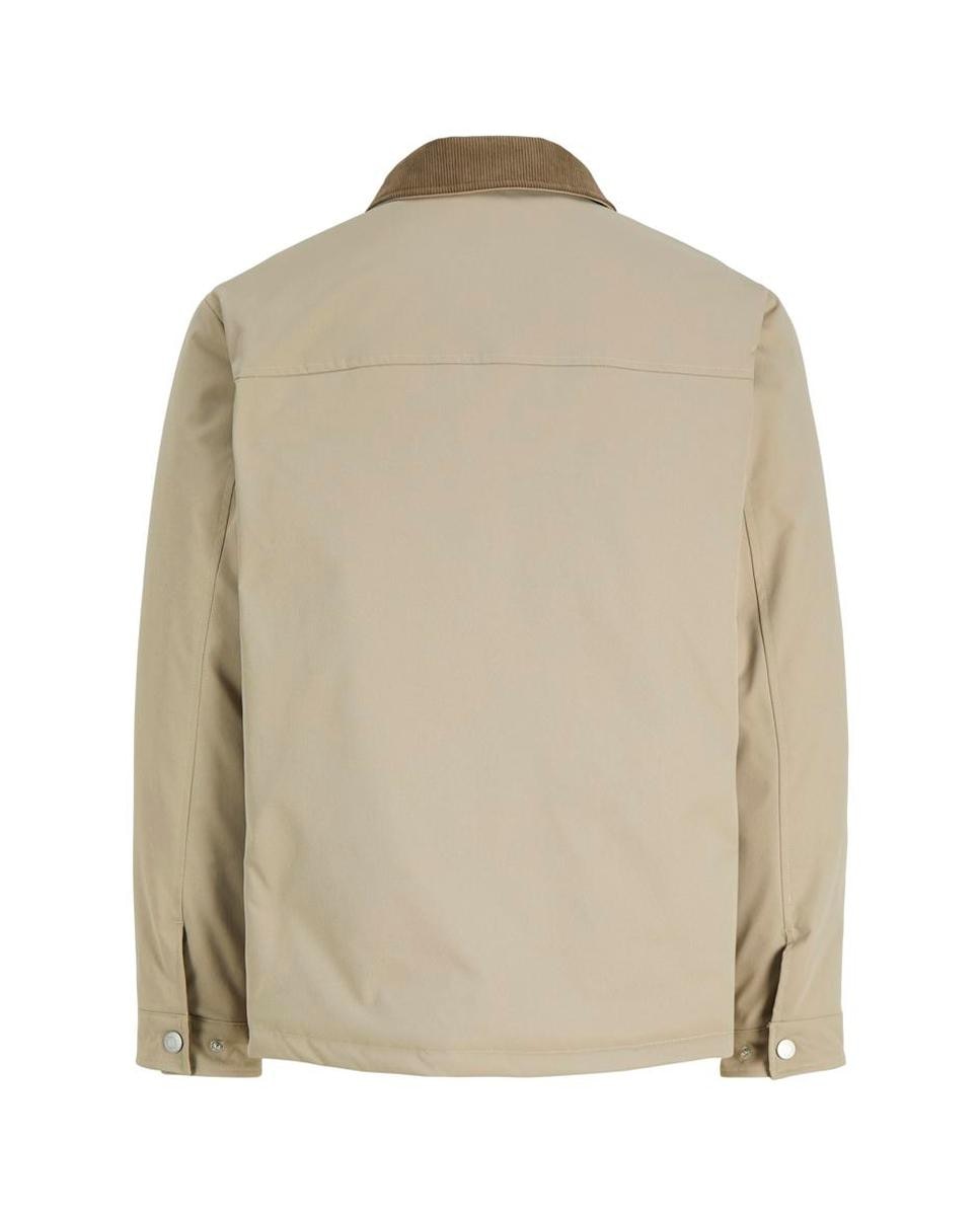 Chaqueta acolchada de hombre - Jack & Jones - Beige Beige-8
