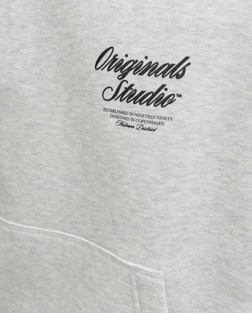 Sudadera de hombre con capucha y backprint - Jack & Jones - Gris claro Gris claro-4