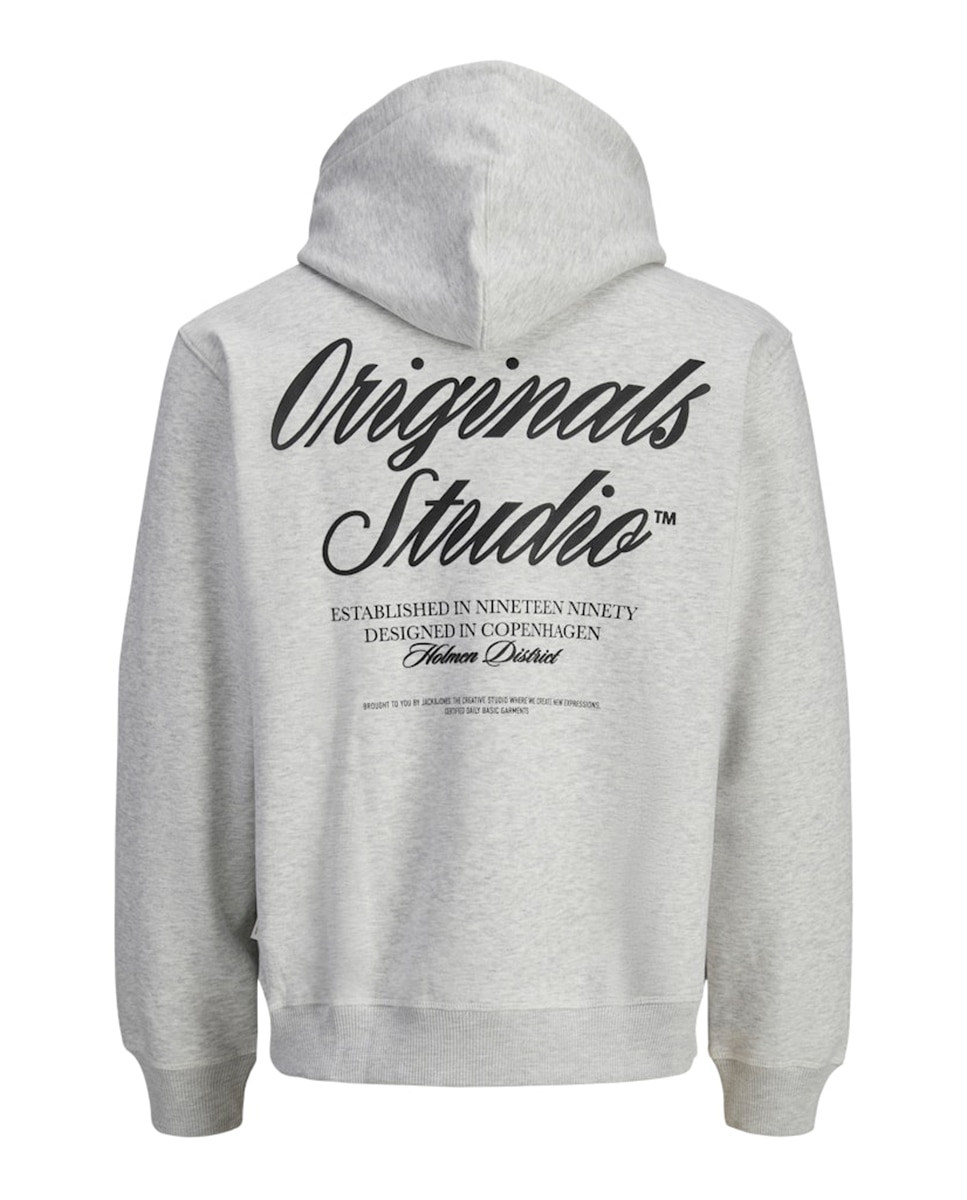 Sudadera de hombre con capucha y backprint - Jack & Jones - Gris claro Gris claro-6