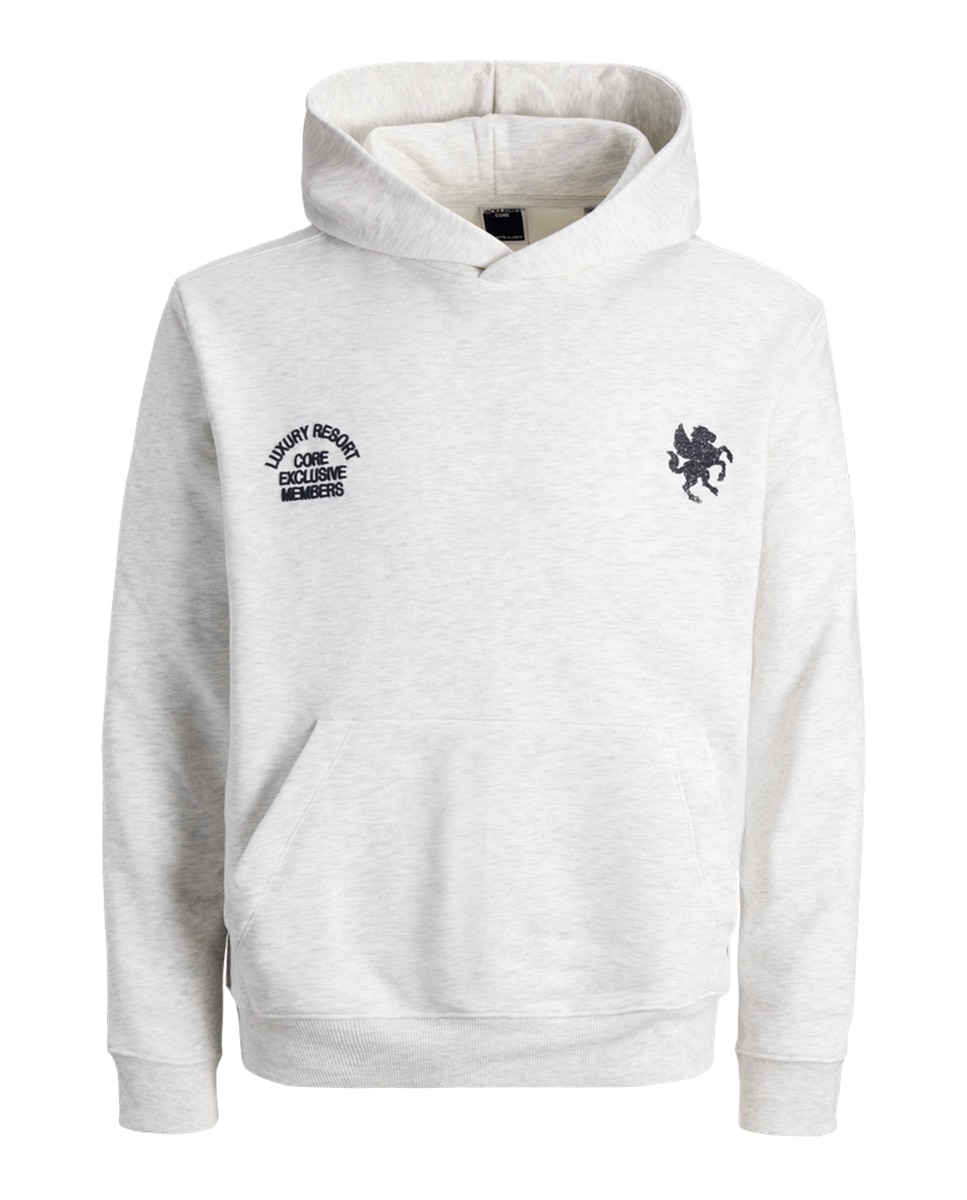Sudadera de hombre con capucha y print - Jack & Jones - Gris claro Gris claro-6
