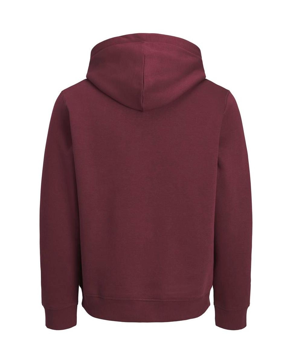 Sudadera de hombre con capucha y estampado frontal - Jack & Jones - Marrón Marrón-2