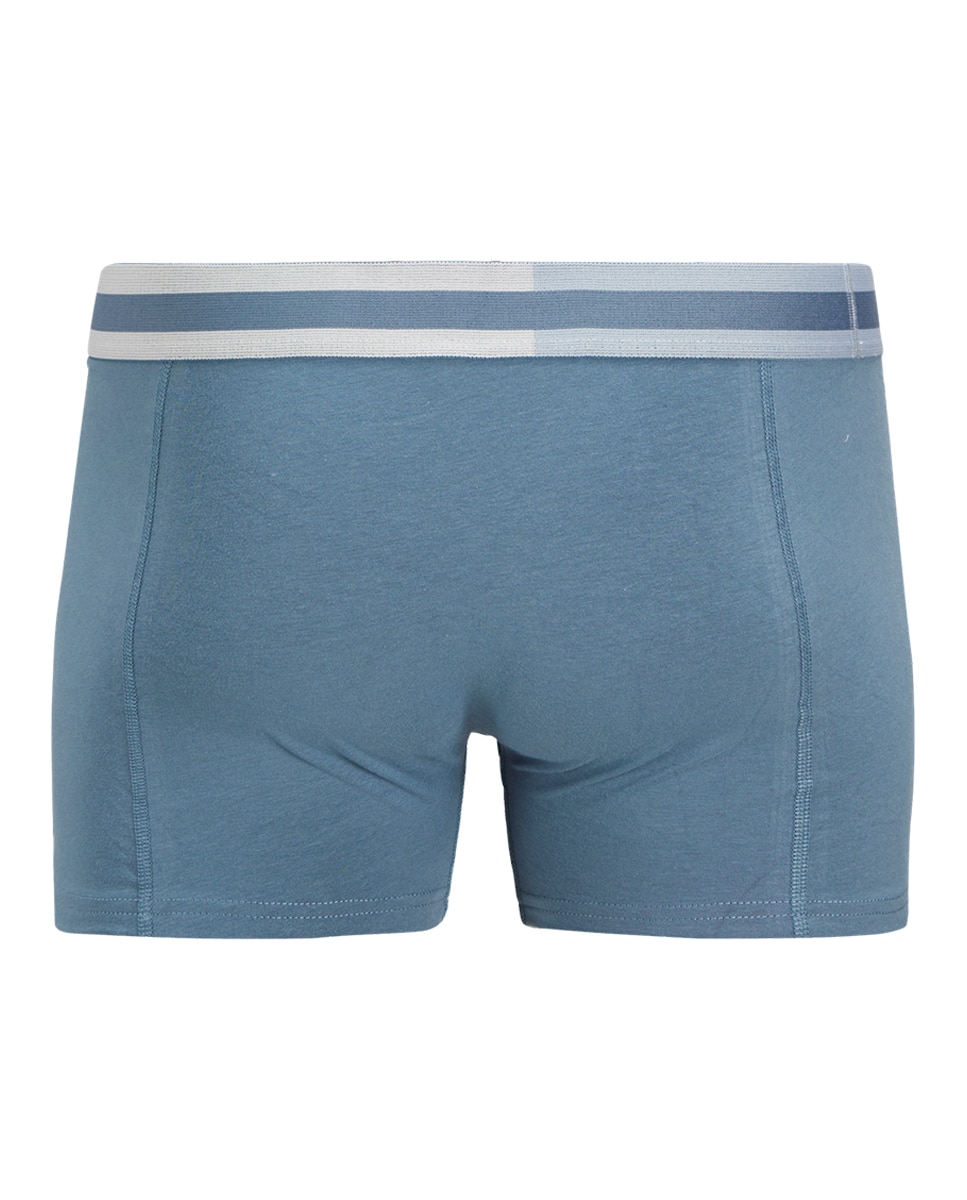 Pack de 3 Boxers com Logótipo e Cintura Elástica Azul-9