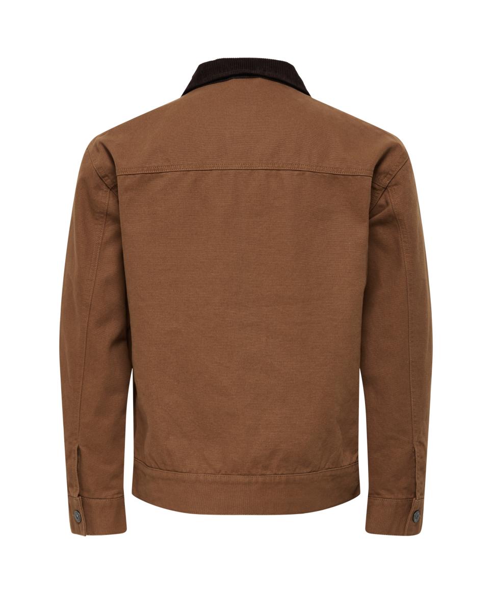 Blusão de Gabardine 100% Algodão. Regular Fit Castanho-6
