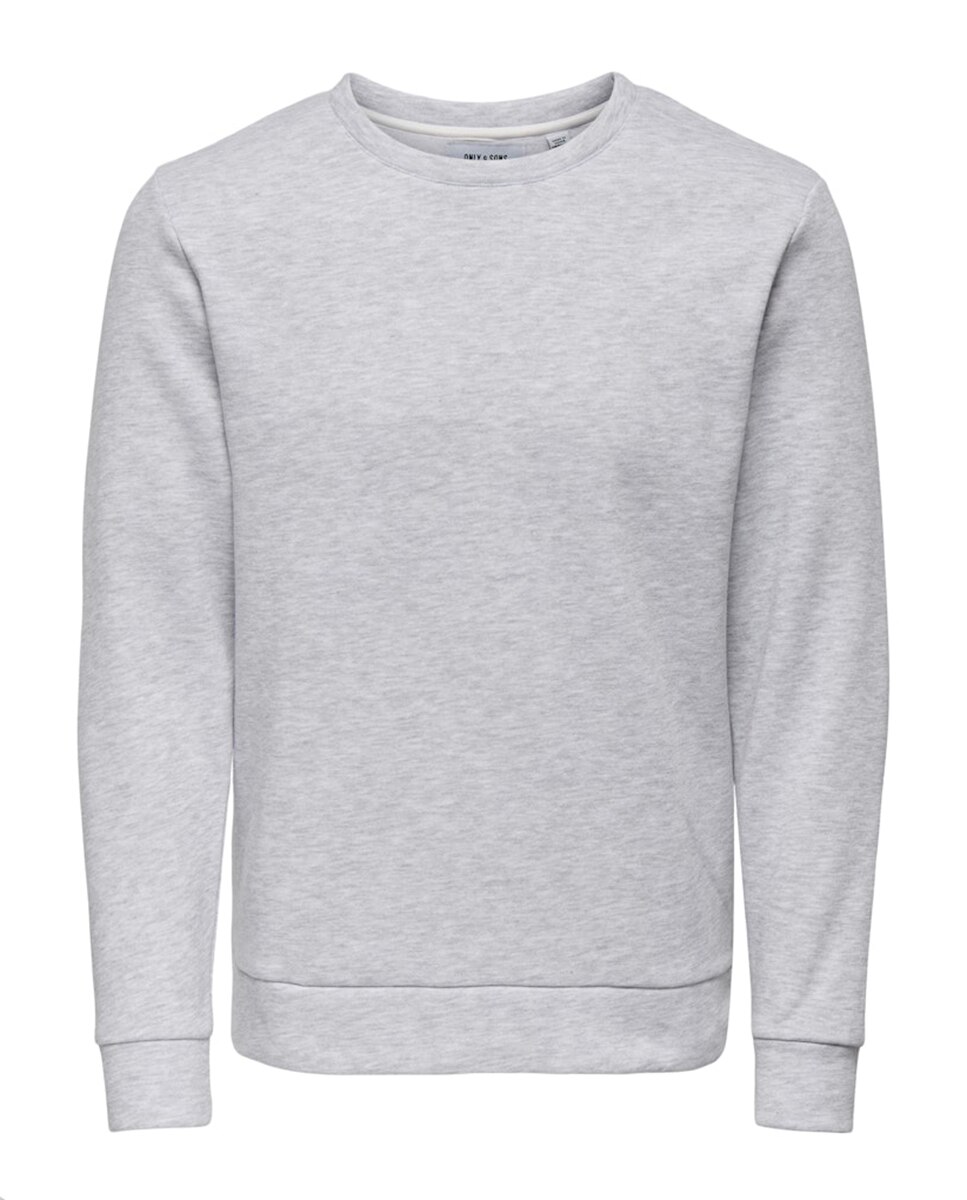Imagen 0 de Sudadera de hombre regular fit. Gris claro