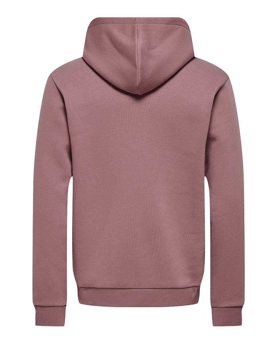 Sweatshirt de homem com capuz Roxos-4