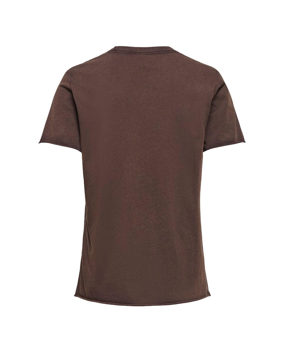 Camiseta de mujer de manga corta con dibujo frontal - Only - Marrón Marrón-5