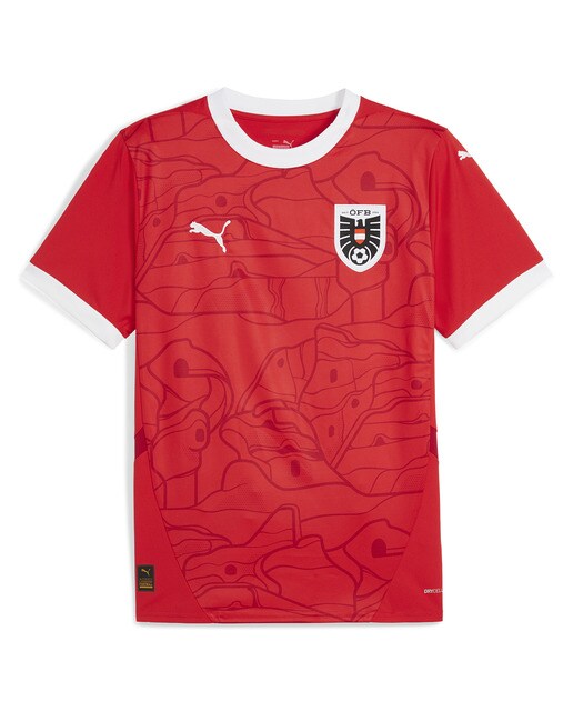 T-shirt de Homem 1.º Equipamento Áustria ÖFB 2024 Réplica Vermelho-6