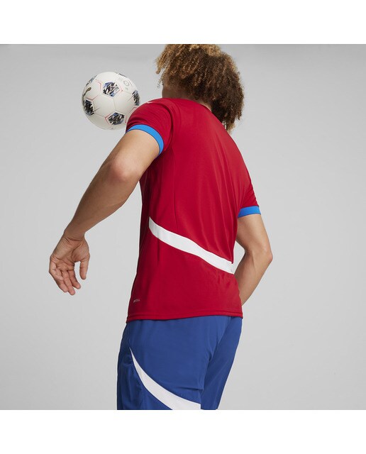 T-shirt de Homem 1.º Equipamento Sérvia FSS 2024 Réplica Vermelho-2