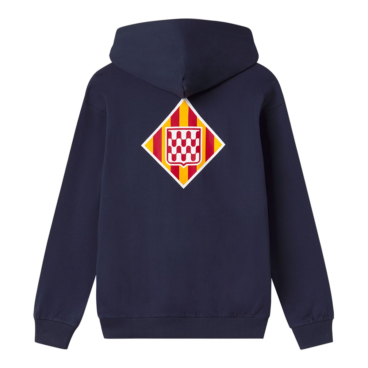 Sweatshirt de Homem Girona FC ftblCulture+ Hoodie 2024-2025 Azul-2