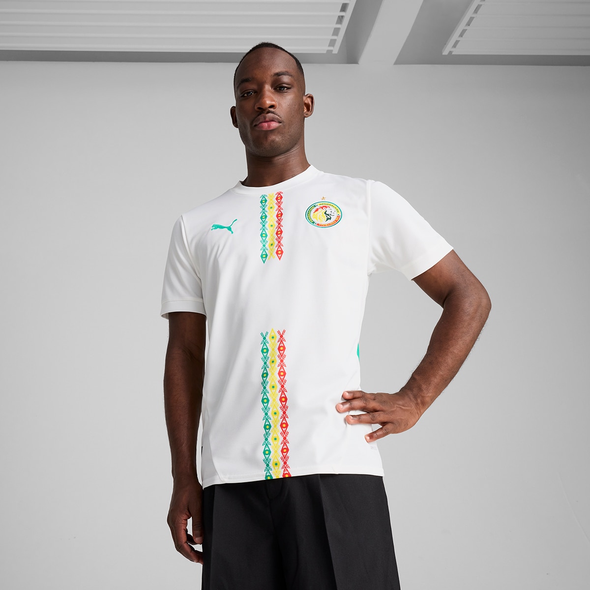 Imagem 0 de T-shirt de Homem 1.º Equipamento Senegal FSF 2024-2025
