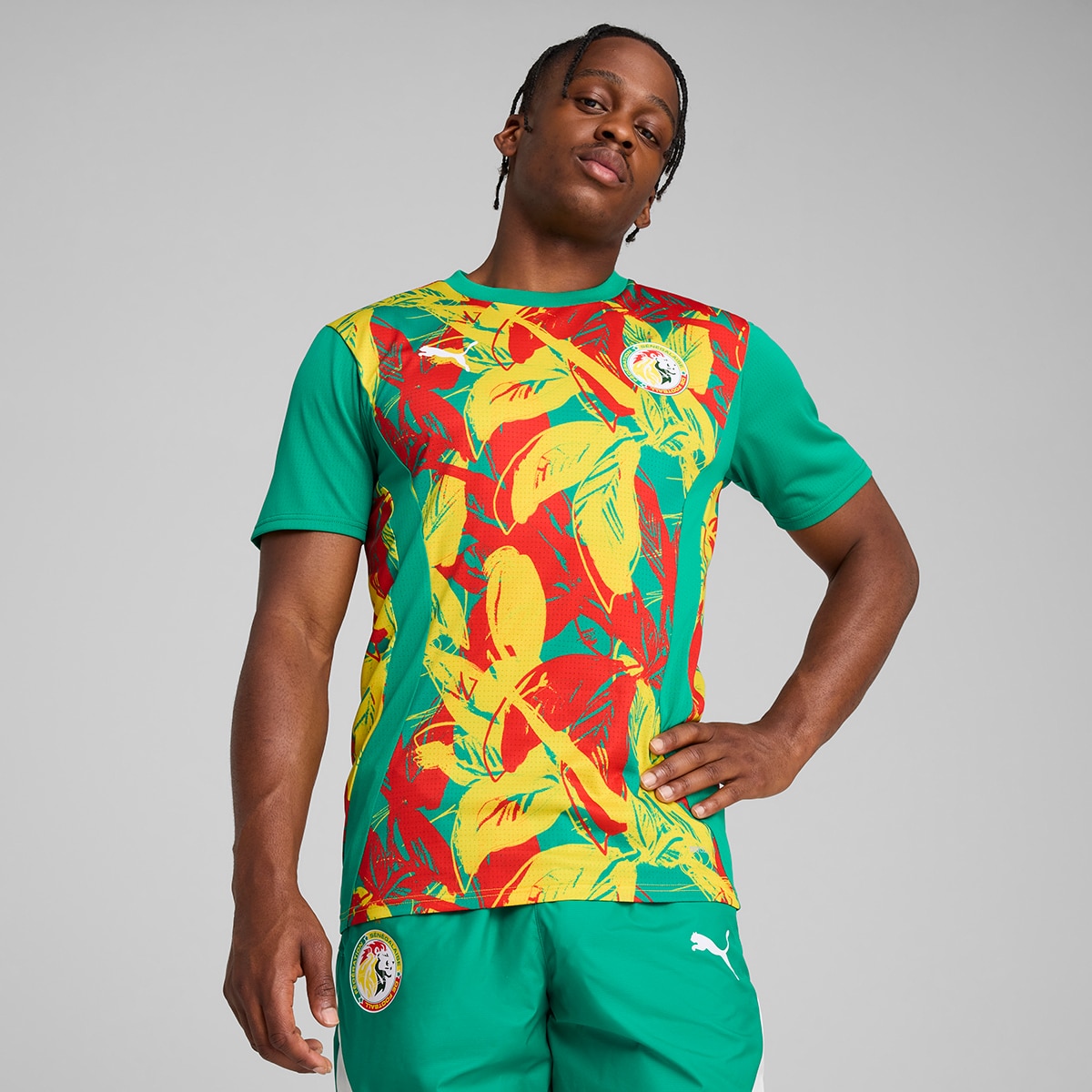 T-shirt de Treino de Homem Senegal FSF 2024-2025 Verde-1