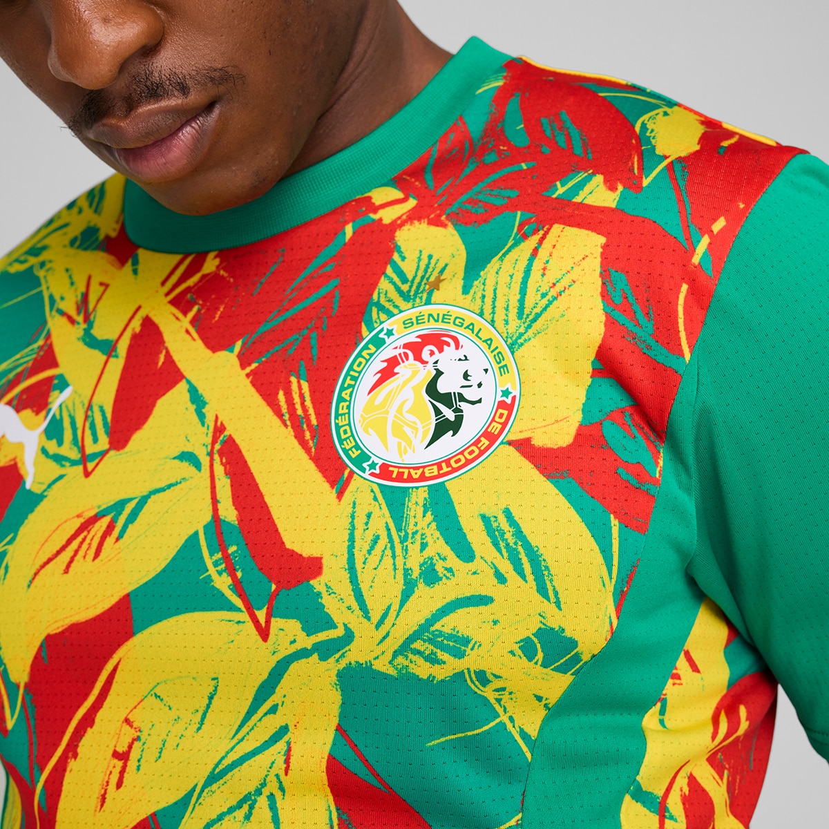 T-shirt de Treino de Homem Senegal FSF 2024-2025 Verde-3