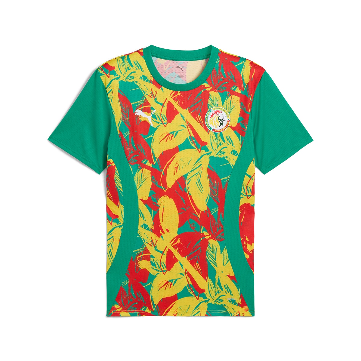T-shirt de Treino de Homem Senegal FSF 2024-2025 Verde-6