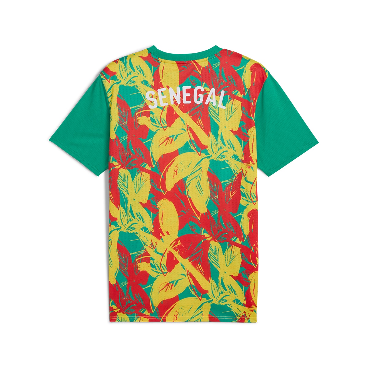 T-shirt de Treino de Homem Senegal FSF 2024-2025 Verde-7