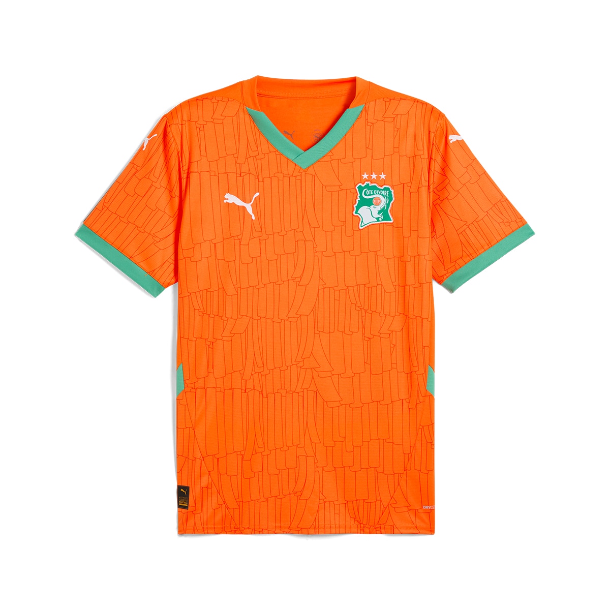 T-shirt de Homem 1.º Equipamento Costa do Marfim 2024-2025 Réplica Laranja-6