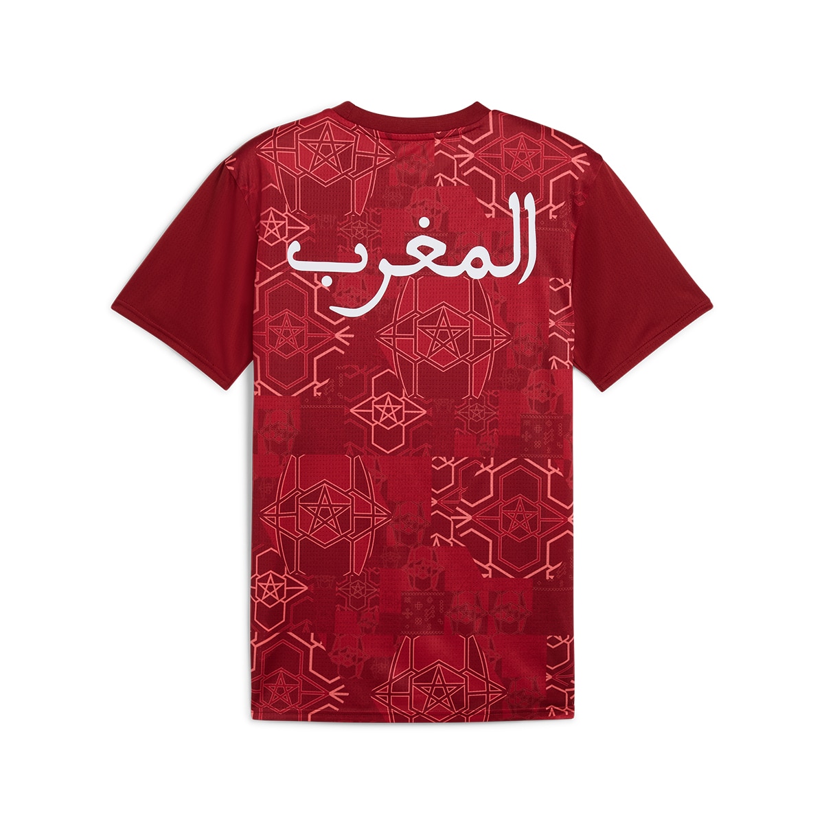 T-shirt de Treino de Homem Marrocos FRMF 2024-2025 Vermelho-7