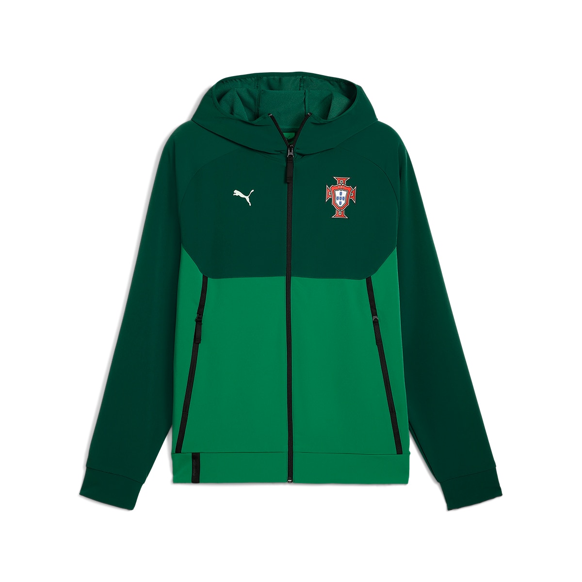 Casaco de Homem Seleção de Portugal FPF Verde-6