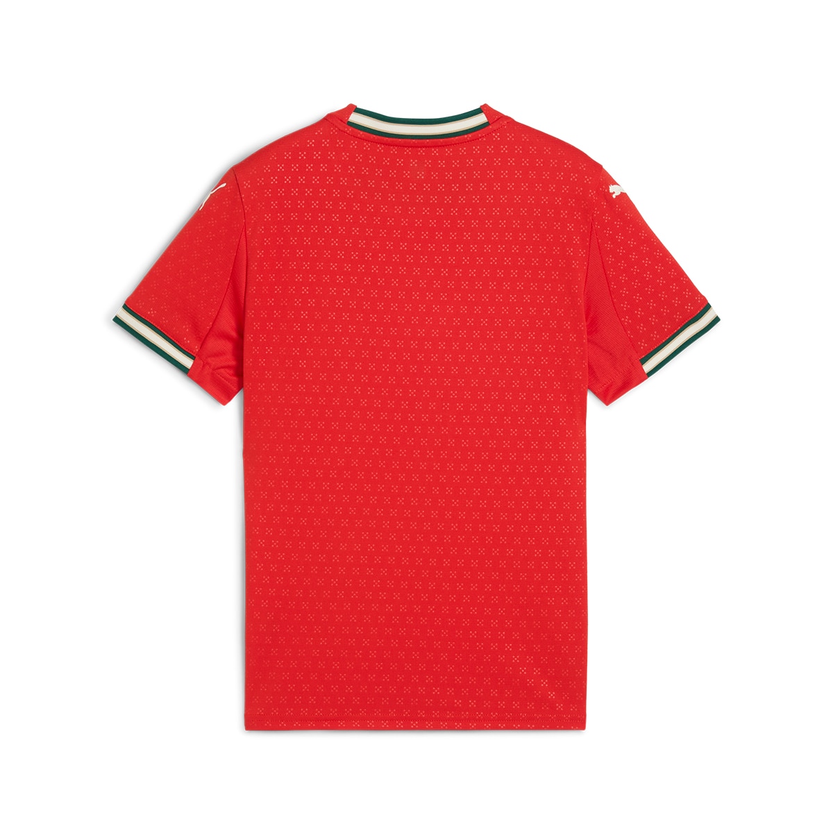 T-shirt de Criança 1.º Equipamento Portugal FPF Vermelho-6