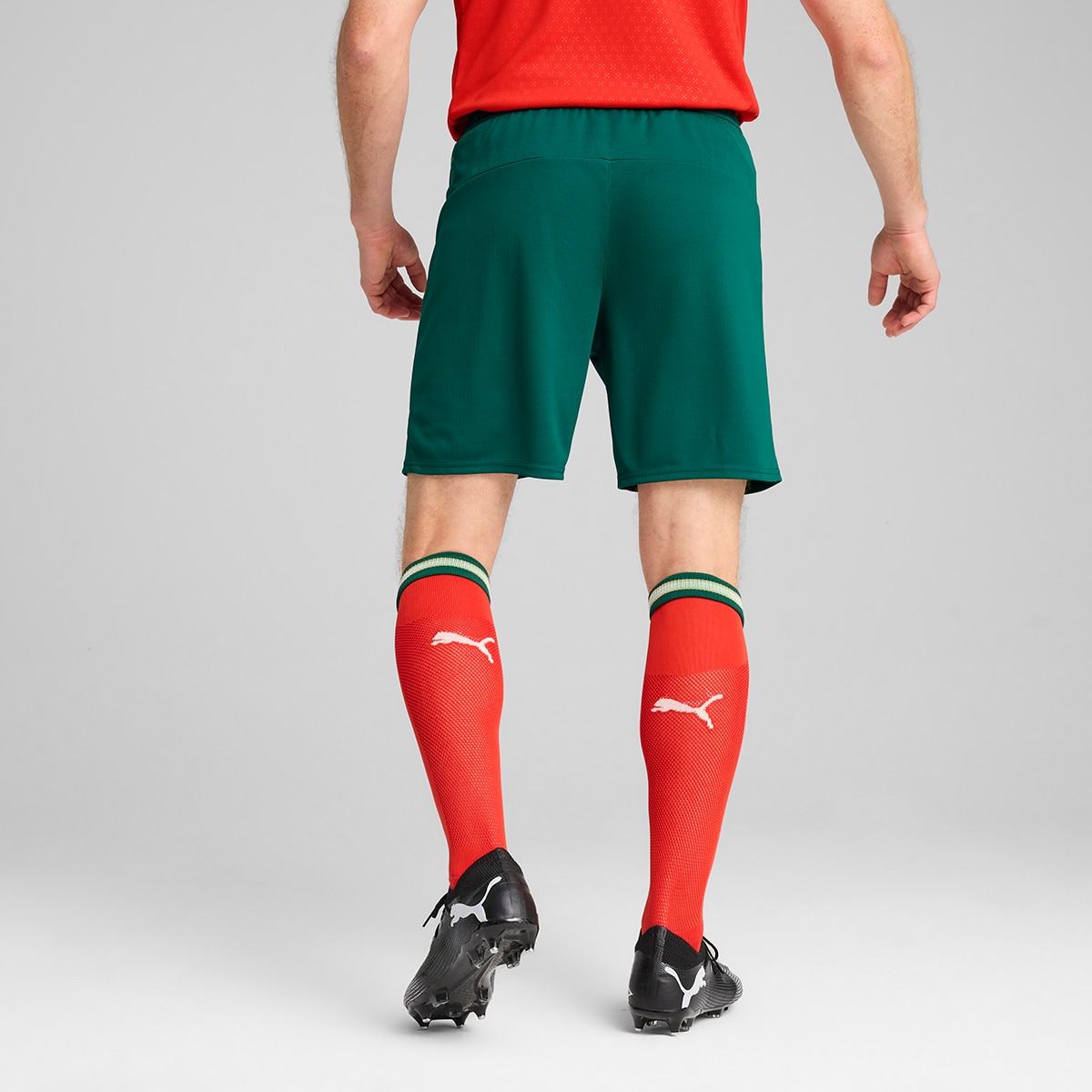 Calções de Homem Seleção de Portugal FPF Verde-2