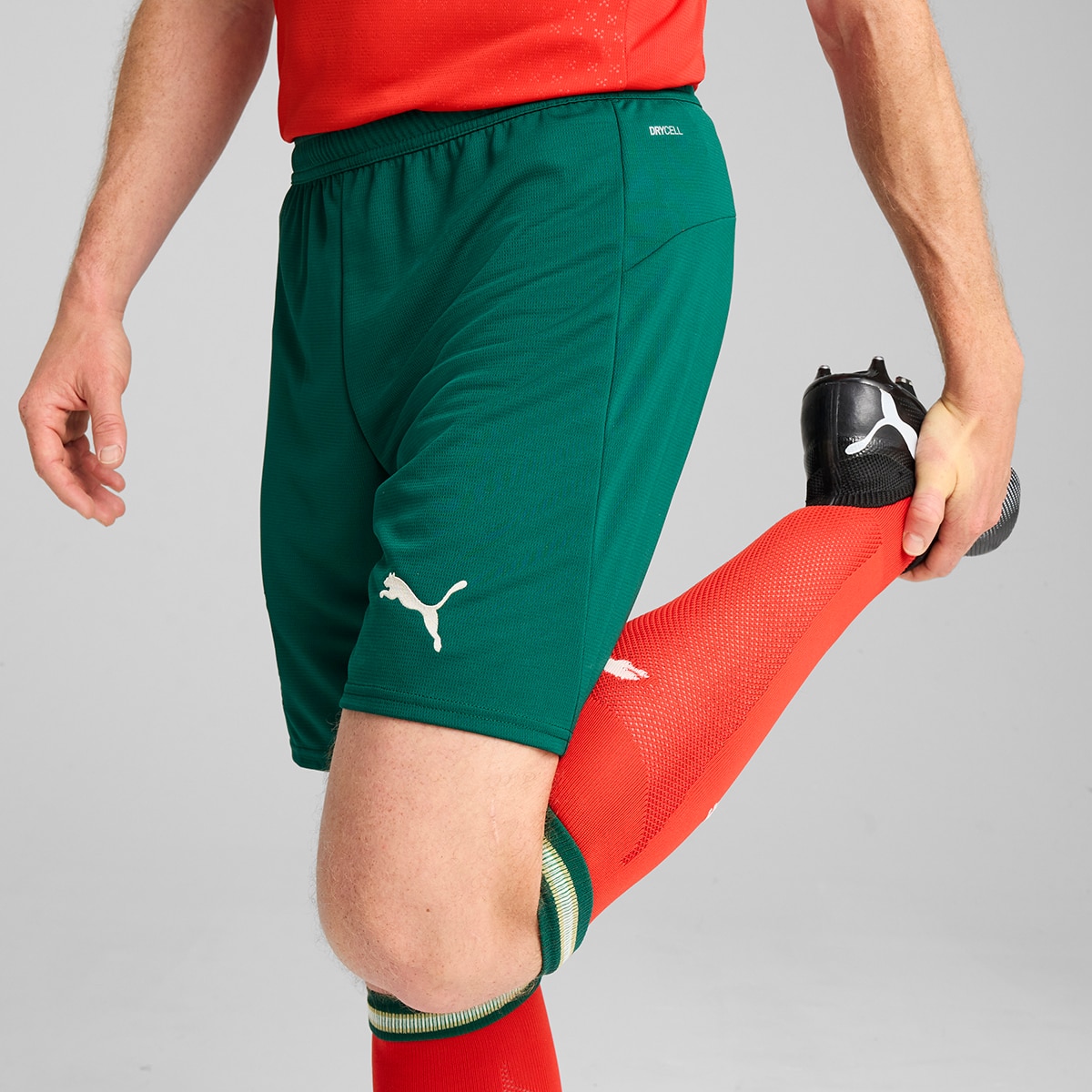 Calções de Homem Seleção de Portugal FPF Verde-4