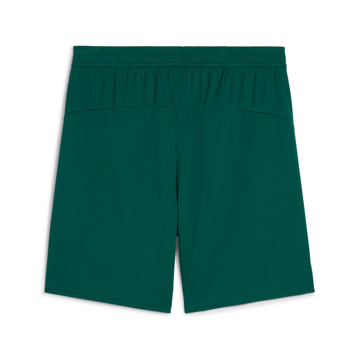 Calções de Homem Seleção de Portugal FPF Verde-7