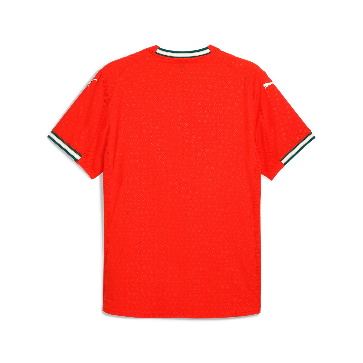 T-shirt de Homem 1.º Equipamento Portugal FPF Vermelho-7