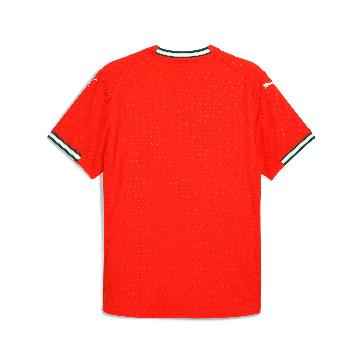 T-shirt de Homem 1.º Equipamento Portugal FPF Vermelho-7