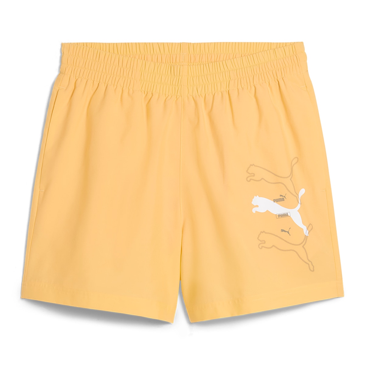Calções de Homem ESS Logo Lab Logo Woven Shorts 5" Laranja-4