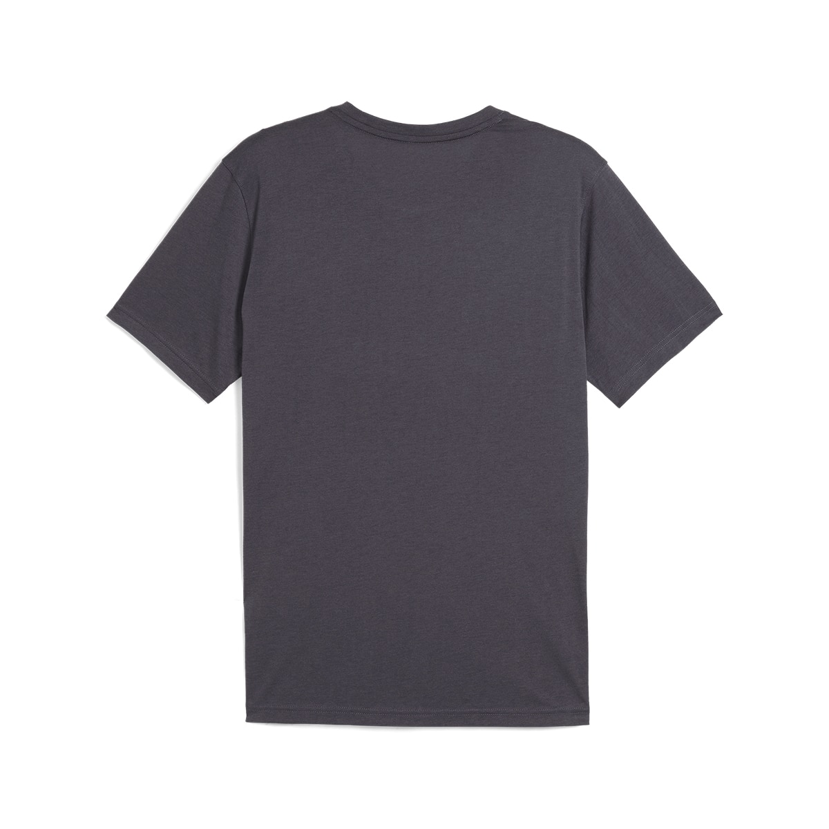 T-shirt de Homem Graphics Seasons Unisex Tee Preto-5