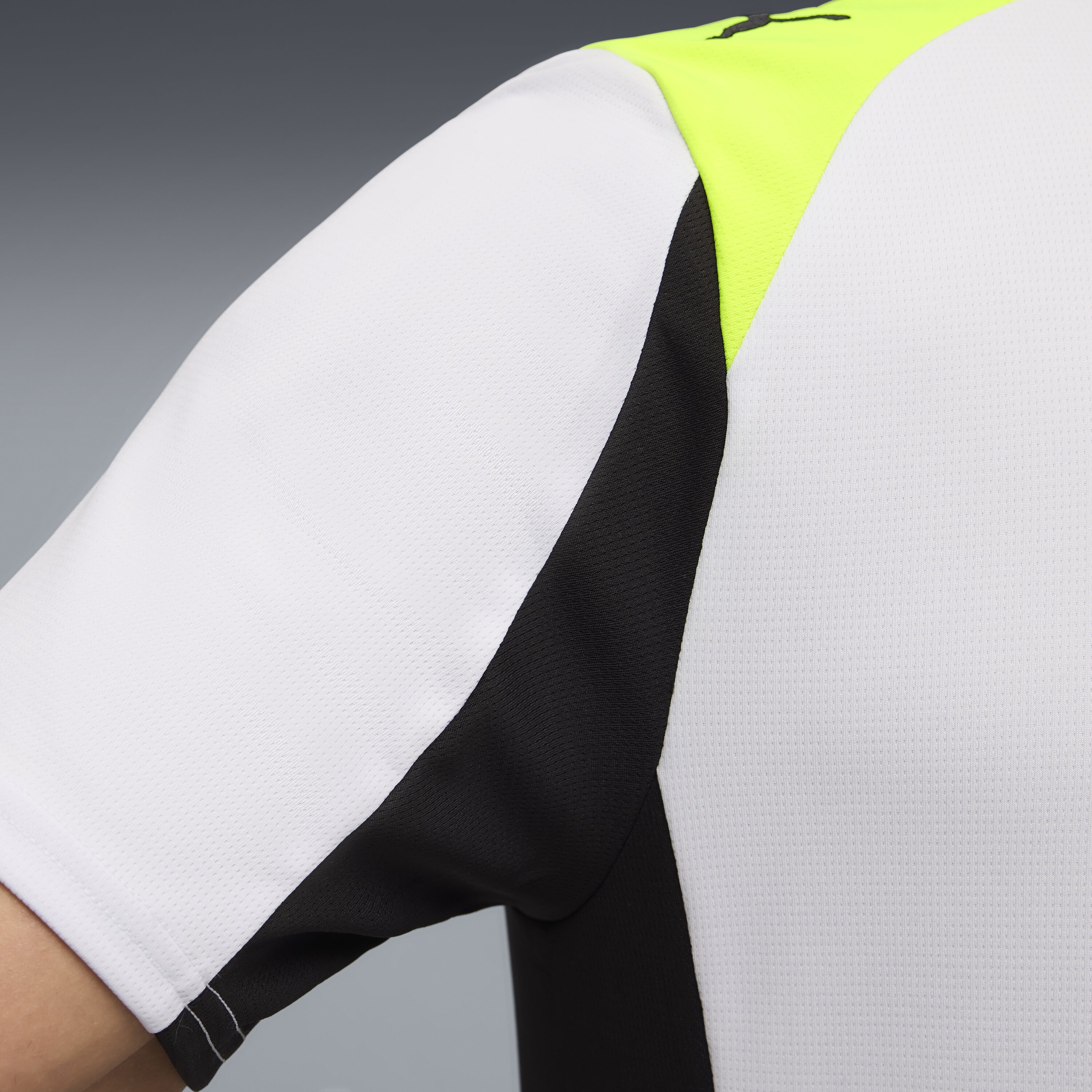 T-shirt de Homem Borussia Dortmund 2.º Equipamento Cinzento-4