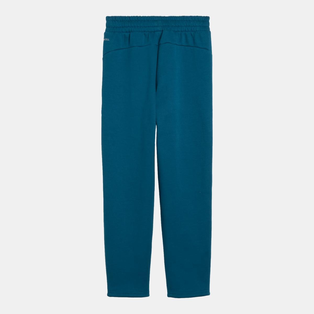 Calções de Futebol Infantil FPF PUMATECH Sweat Jr Puma Verde-2