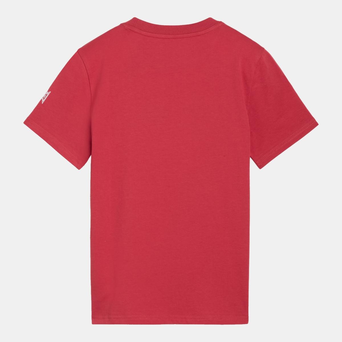 T-shirt de Futebol Infantil FPF FtblCulture Jr Puma Vermelho-2