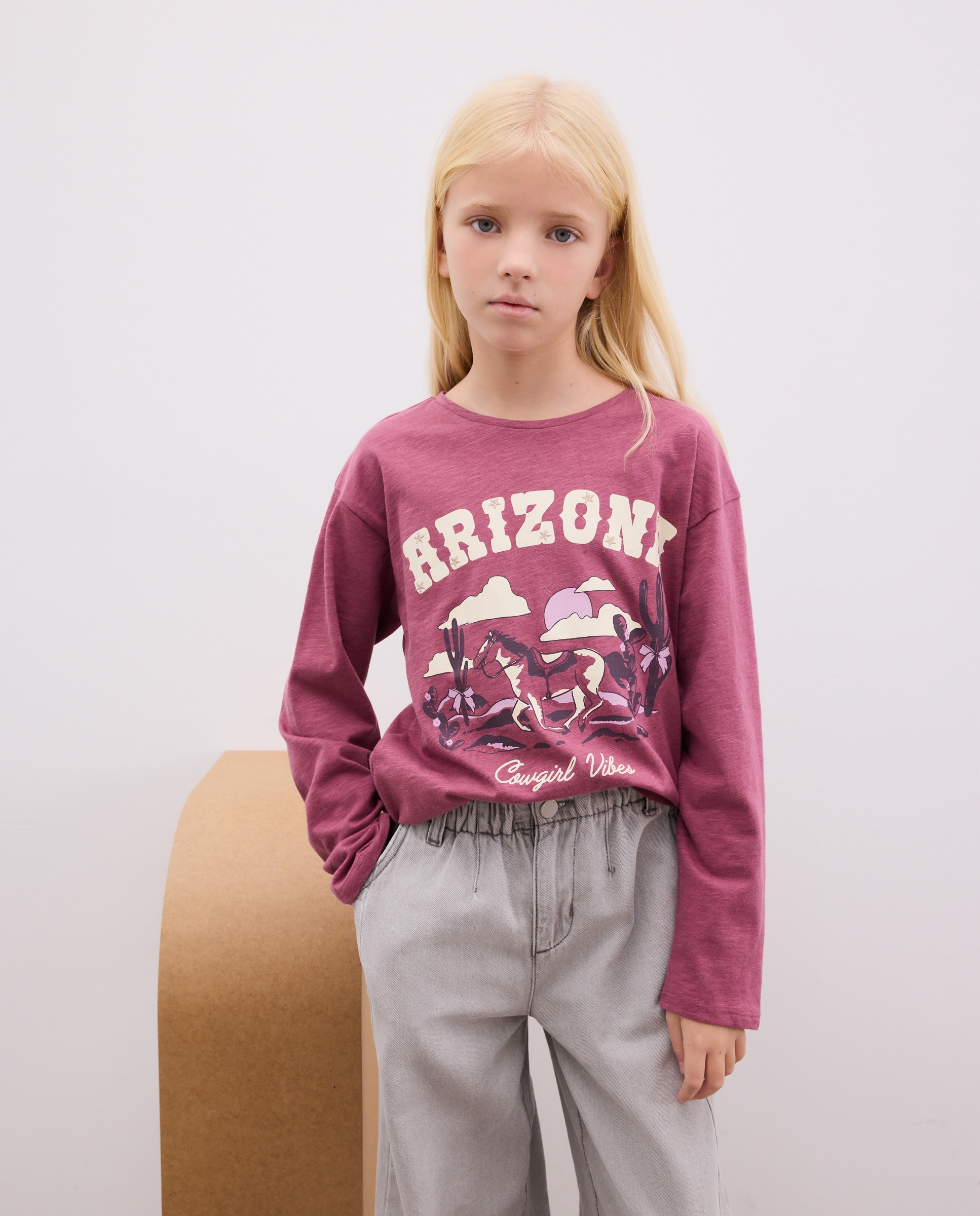 Camisola de Manga Comprida com Estampado Posicional com Bordados de Fio Metalizado Rosa-2