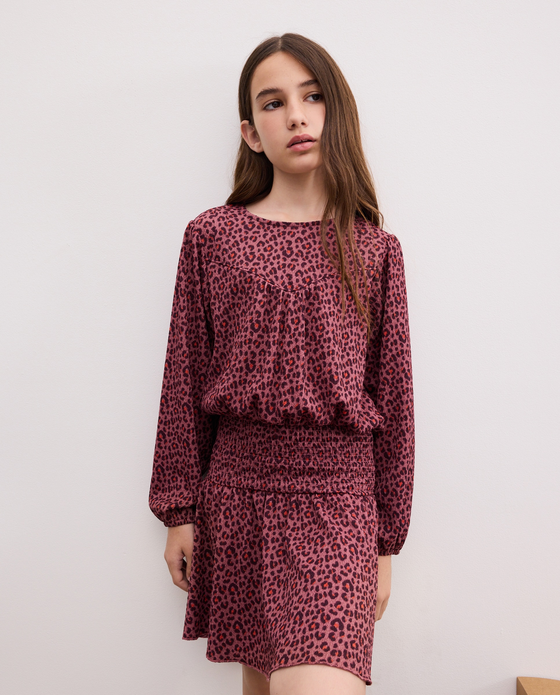 Vestido de Manga Comprida com Elásticos na Cintura e Peitilho em Bico com Animal Print Rosa-2