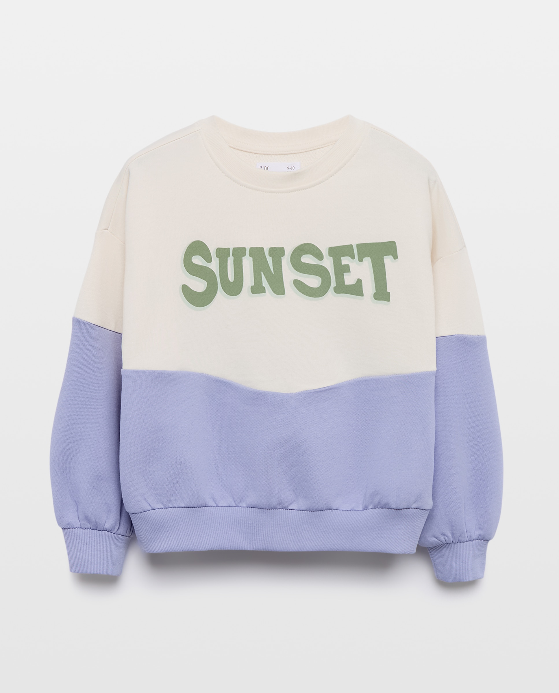 Sweatshirt com Estampado Color Block e Estampado à Frente Multicolor-5