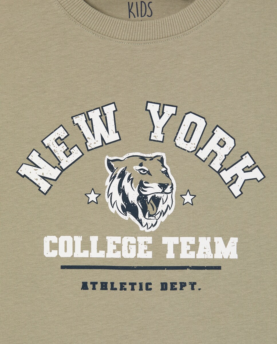 Camisola de Manga Comprida com Estampado Básico Verde-5