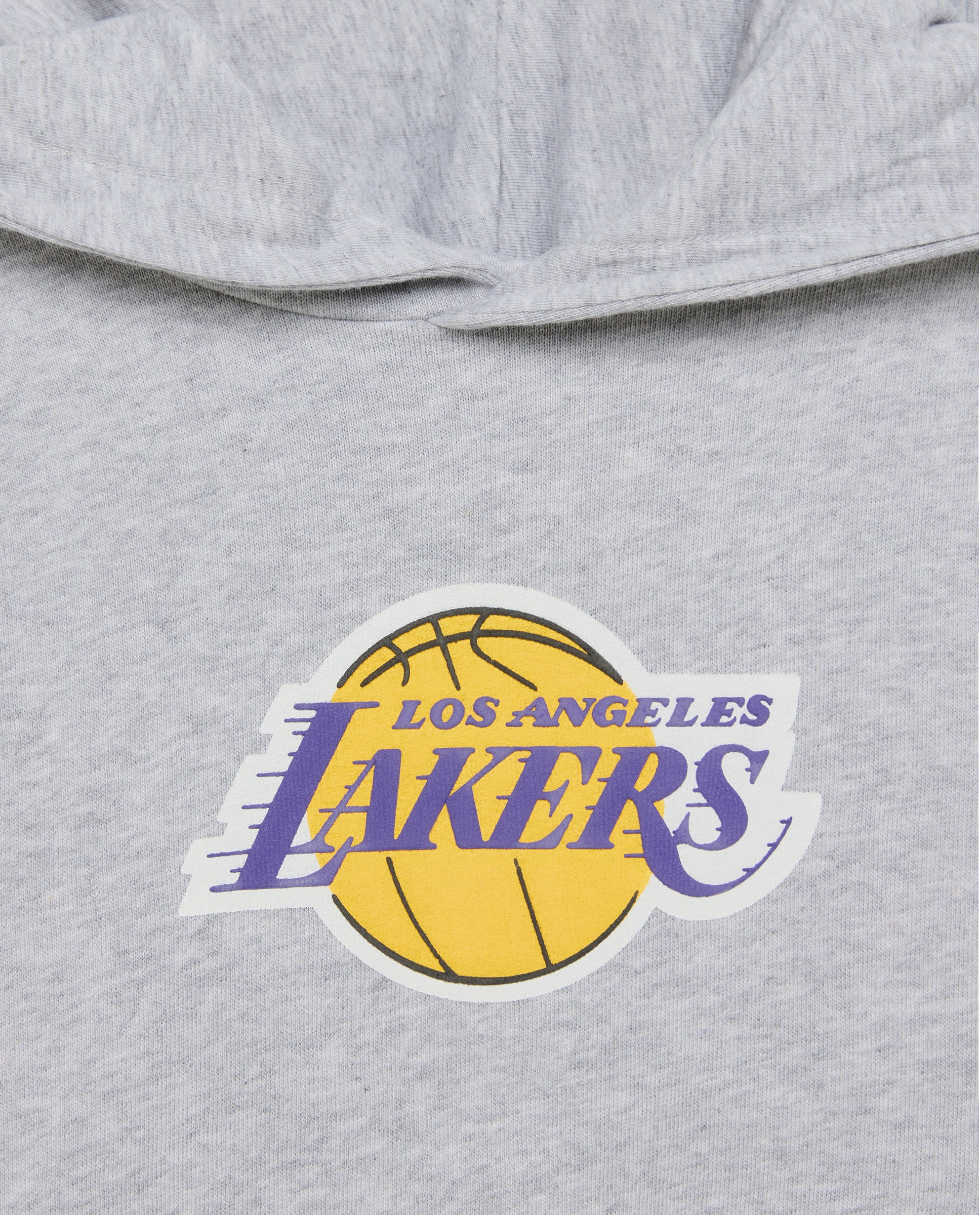 Sweatshirt Fechada com Capuz e Fantasia NBA Cinzento-5