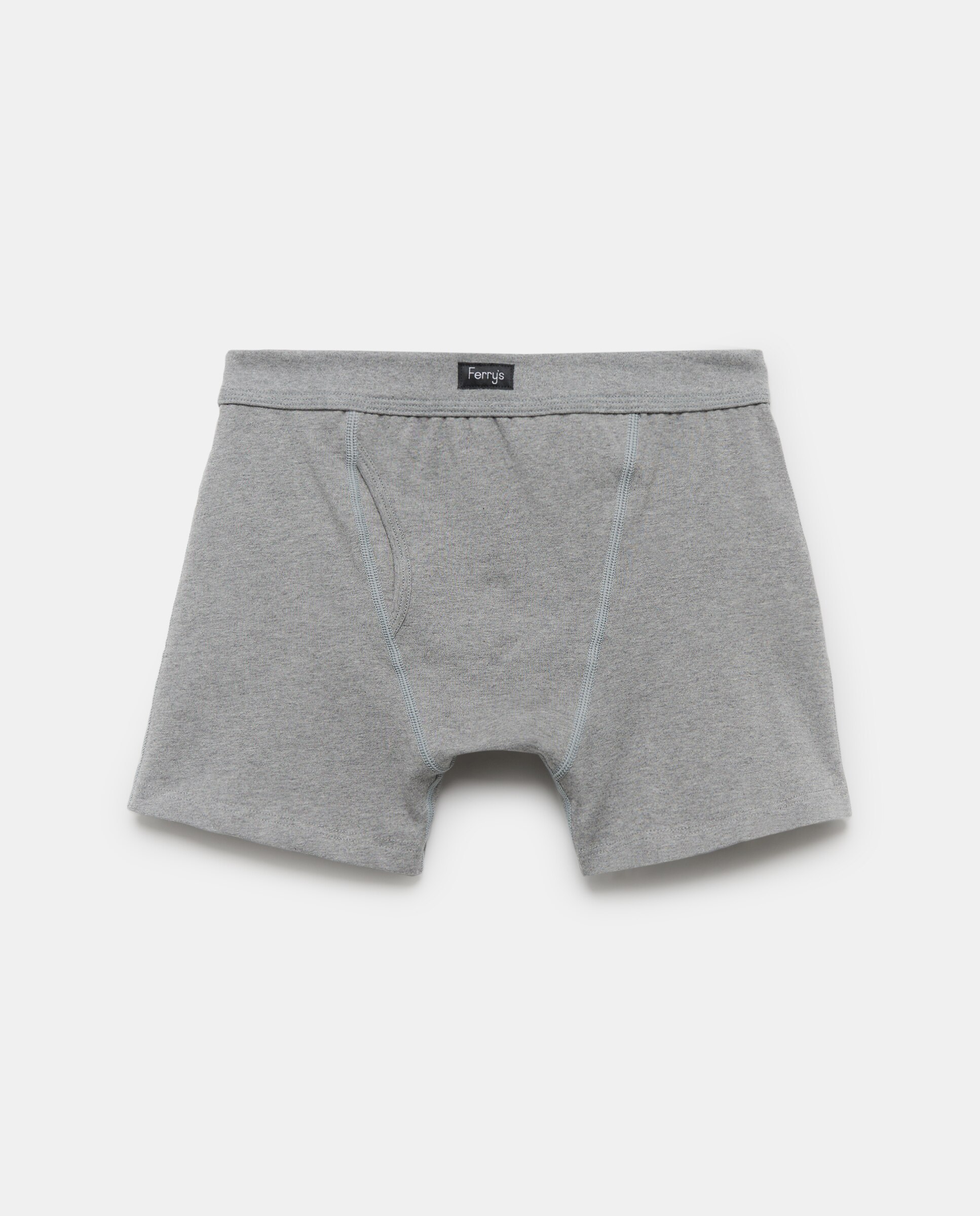 Imagem 0 de Boxers de malha de homem Ferrys cinzentos