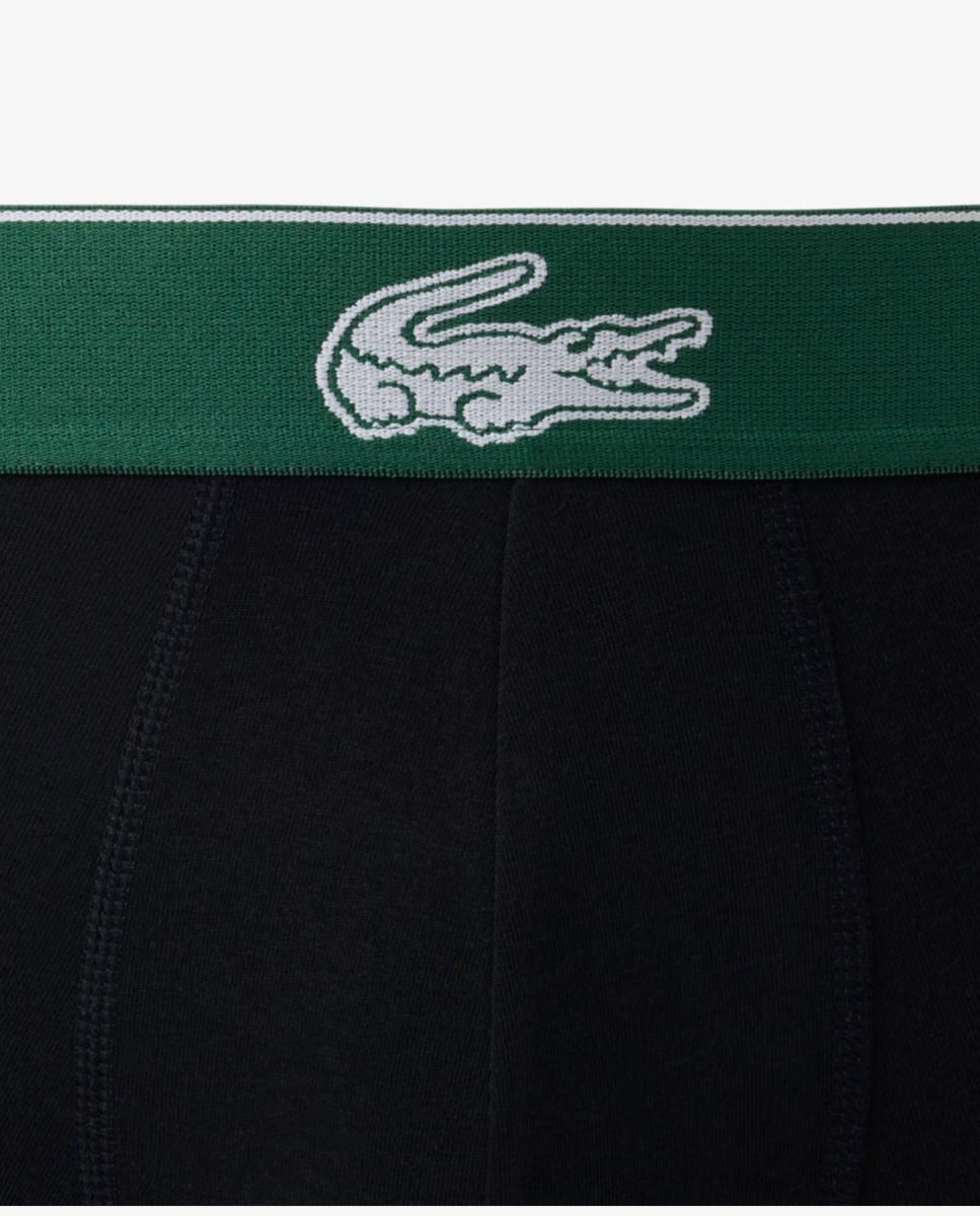 Pack de 3 calzoncillos Lacoste de algodón con logo en la cintura - Negro Negro-6